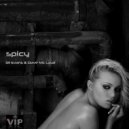 Dil Evans & Dave Mc Laud - Spicy (Radio Mix)