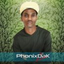 PhonixDaK - The Voices (Original Mix)