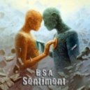 B.S.A. - Sentiment (Original mix)