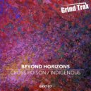 Beyond Horizons - Indigenous (Original Mix)