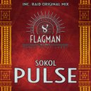 Sokol - Raid