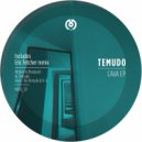 Temudo - Cava (Original mix)