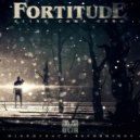 Fortitude - New Machine (Original Mix)