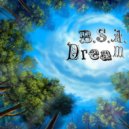 B.S.A. - Dream