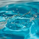 Harvey Den - H2O