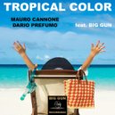 Mauro Cannone & Dario Prefumo - Tropical Color (feat. Big Gun) (Original mix)