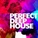 Artful Fox, al l bo - Perfect Deep