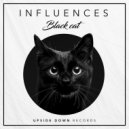Influences - Work in progress