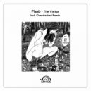 Piaab - The Visitor