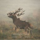 Nrtk - Ambient Mix (Relax)
