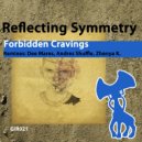 Reflecting Symmetry - Forbidden Cravings (Andres Shuffle remix)