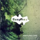MDW & Raul Soto - Can U Feel It (Tribal Mix)