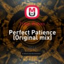 Tribal Wolves - Perfect Patience (Original mix)