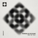 Burden & DLTN - Ninfus 2.0 (Original Mix)