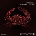 Sam Welt - Rollercoaster (Original Mix)