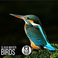 Slava Mayer - Chaos