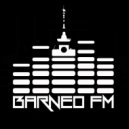 Aleks Prokhorov - BarneoFM.ru House podcast [Mix] (Mix)