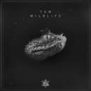Taw - Wildlife (Original Mix)