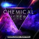 Chemical Sisters - Maxcore (Original Mix)