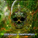 Metrix & Psyconoclast - Kame-hame-ha (Original mix)