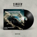 Daniil Waigelman, Nadya - Gravitation (Original mix)