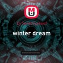Dj Serebryakoof - winter dream