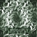 Frankie Serious - Imperceptible Process (Original mix)