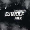 DJ WOLF - Special Сollection #0015 (( February 2017 ))