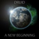 Druid - For The Gods (Original Mix)