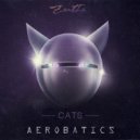 Aerobatics - Cats (Radio Vers.)