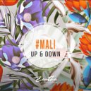#Mali - Flash Flash (Original Mix)