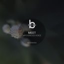 Meet - Mysterious Voice (Original Mix)