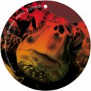 Dualtec - Mokum