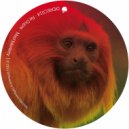 Re Dupre - Mad Monkey