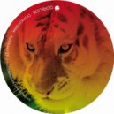 Drumcomplex - Tak