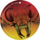 Sam Insecton - Dragonfly
