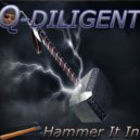 Q-Diligent - Heavyweight ()