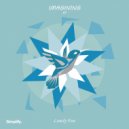 Lonely Fun - Imagining (Original Mix)