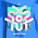 Loggic - Sensation (Maibee Remix)