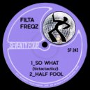 Filta Freqz - Half Fool (Original Mix)