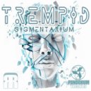 TREMPID - Informal (Original Mix)
