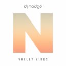 DJ Nodge - Valley Vibes (Radio Edit)