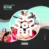 Dramaki & Lowzer - So Fun