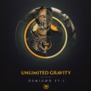 Unlimited Gravity - Where To Go (Original Mix)