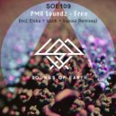 PMX Soundz - The One (Elska Remix)