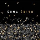 Shuma - Pojdu Zhy V Les