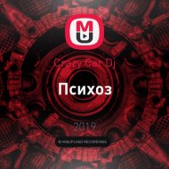 Crazy Car Dj - Психоз