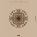 Nir Yooz - Blooming (Original Mix)