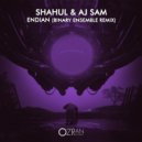 Shahul & Aj Sam - Endian (Binary Ensemble Radio Mix)