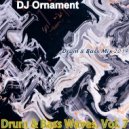 DJ Ornament - Drum & Bass Waves. Vol. 7